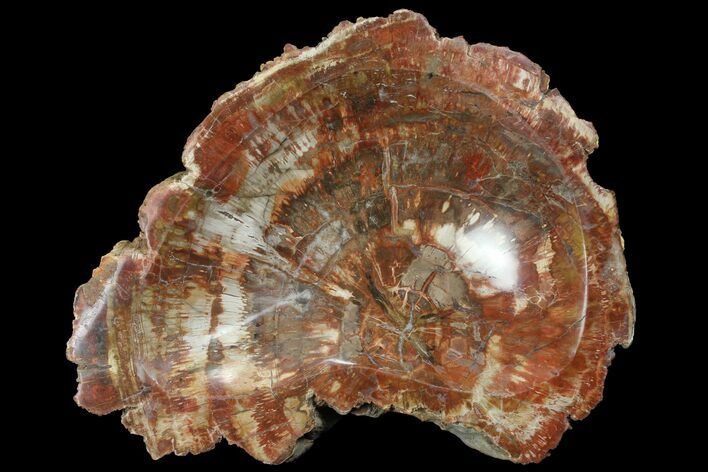 Polished Madagascar Petrified Wood Dish - Madagascar #98290